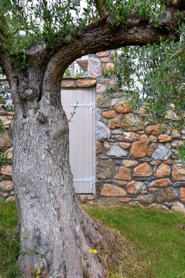 Villa Kladi 니키티 외부 사진